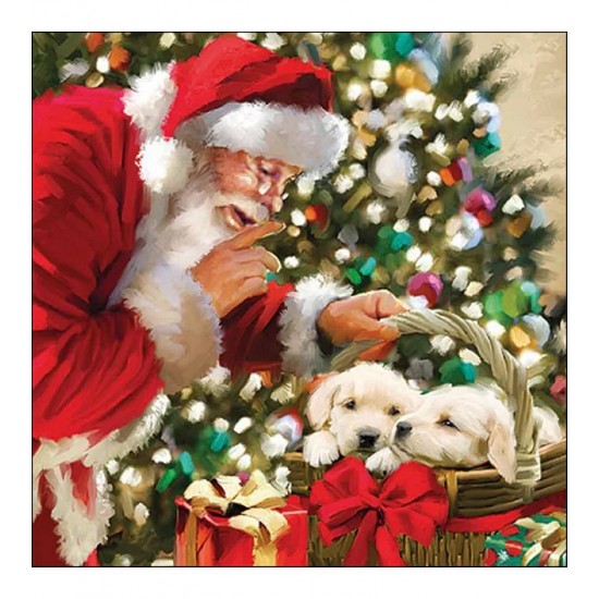 Pacote Com 20 Guardanapos 33x33cm De Papel Just Be Quiet Fsc Mix